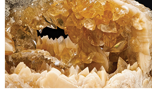 Honey-colored Calcite Crystals in a Fossil Clam